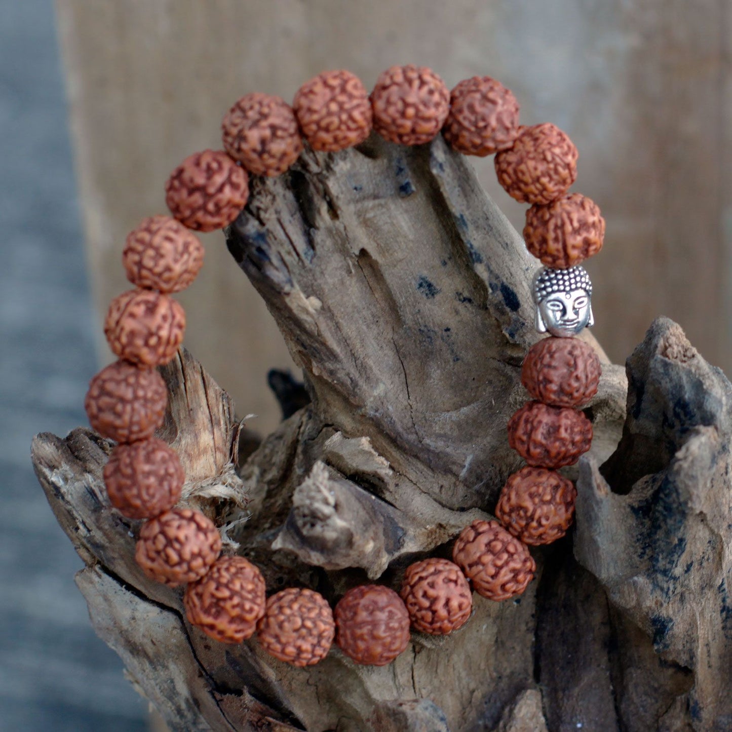 Rudraksha Buddah Bangle Mala – natūralus